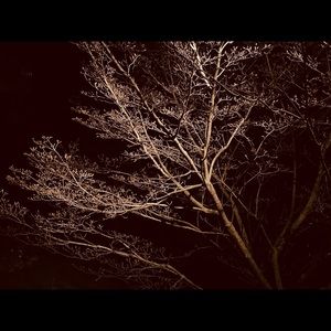 Night time photography prints